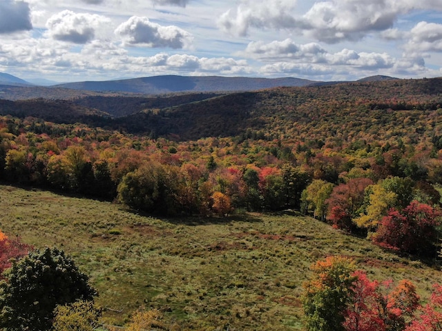 2510 E Hill Rd, Andover, VT 05143 - view of mountain background featuring a heavily wooded area