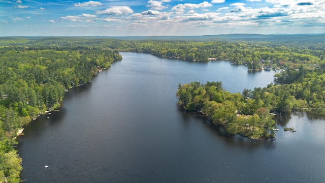 aerial view of a forest and a nearby body of water