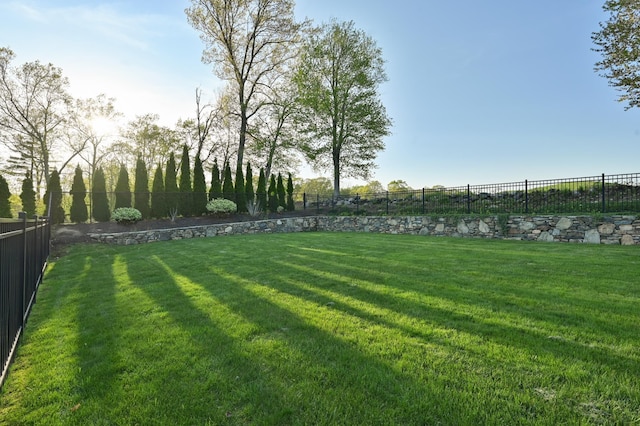 view of yard