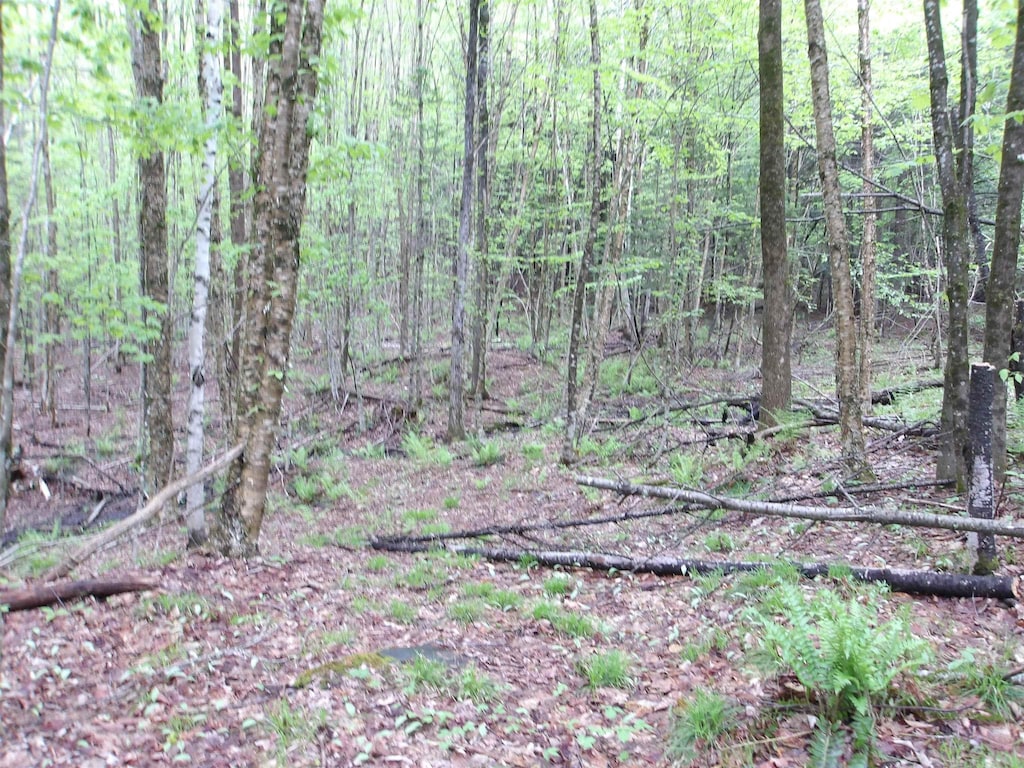 4 Highland Cir, Lyndon, VT 05851