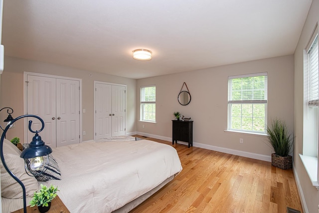 41 Winchester Dr, Hampstead, NH 03826 - bedroom with two closets, light wood-style flooring, and baseboards