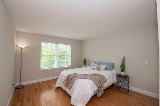 41 Winchester Dr, Hampstead, NH 03826 - bedroom with baseboards and light wood finished floors