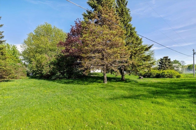 2099 W Shore Rd, Alburgh, VT 05440 - view of green lawn