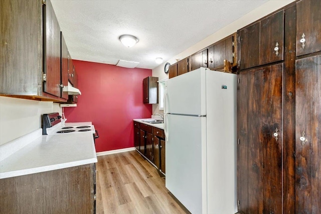 2099 W Shore Rd, Alburgh, VT 05440 - kitchen with white appliances, under cabinet range hood, light wood-style floors, light countertops, and dark brown cabinets