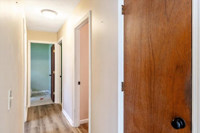 2099 W Shore Rd, Alburgh, VT 05440 - corridor with light wood finished floors and baseboards
