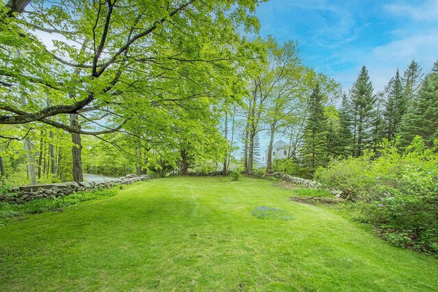 685 Abbot Hill Rd, Wilton, NH 03086 - view of green lawn