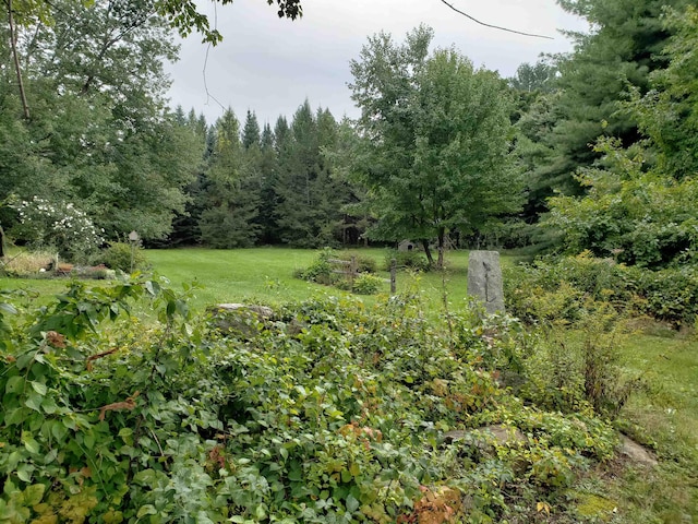 685 Abbot Hill Rd, Wilton, NH 03086 - view of green lawn with a view of trees