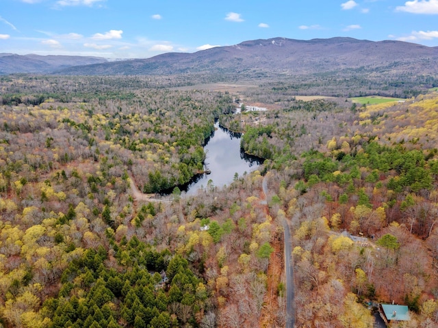 28 Lindsley Cir, Campton, NH 03223 - mountain view featuring a large body of water and a forest