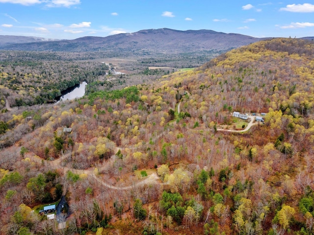 28 Lindsley Cir, Campton, NH 03223 - mountain view featuring a heavily wooded area