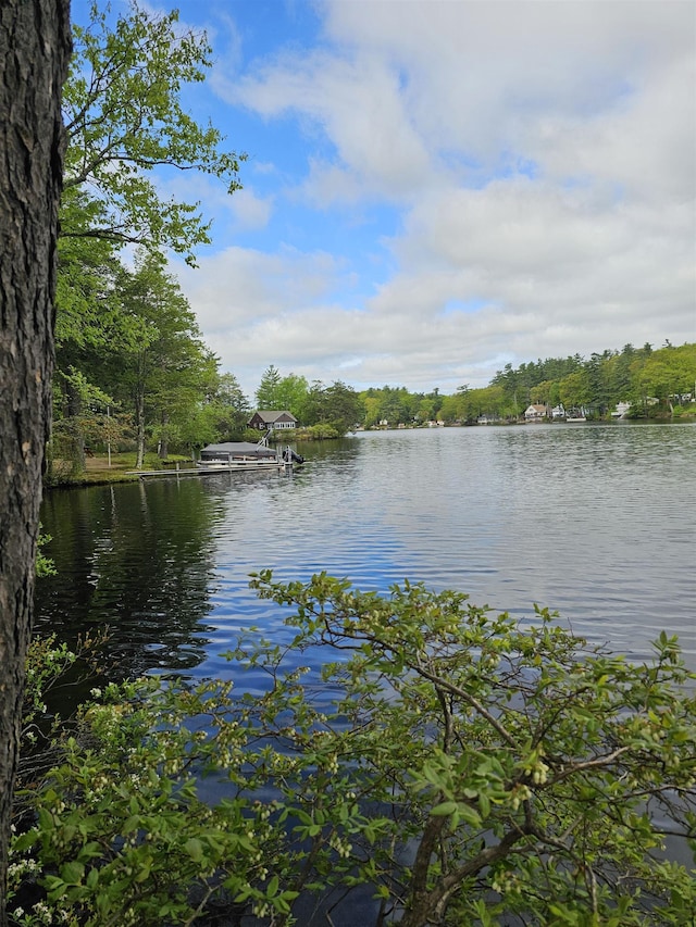 water view featuring a heavily wooded area