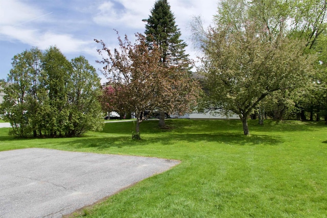 view of grassy yard