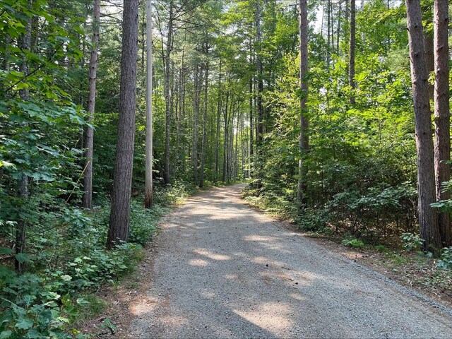 80 Mill St, Conway, NH 03813 - view of street featuring a wooded view