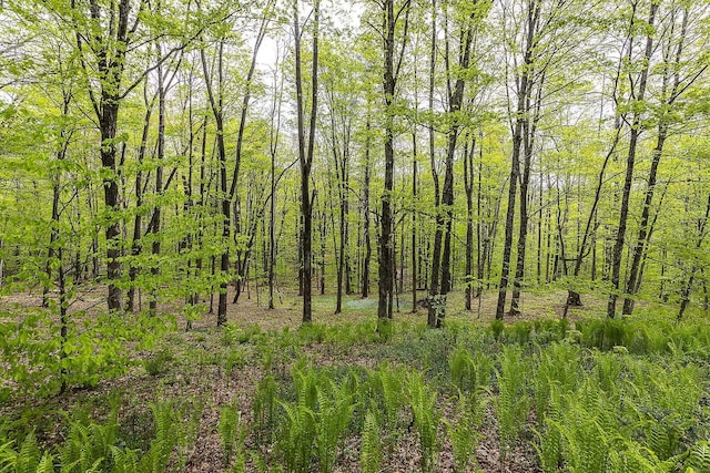 258 Densmore Hill Rd, Hartland, VT 05048 - view of tree filled area