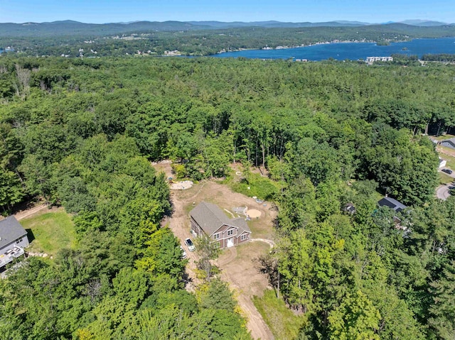 32 David Lewis Rd, Gilford, NH 03249 - bird's eye view of a forest and a water and mountain view