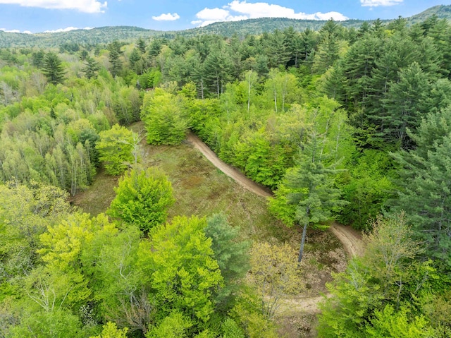 00 Currier Rd, Hill, NH 03243