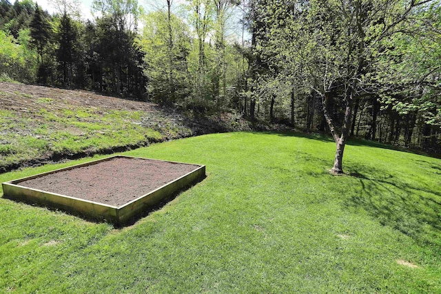 412 Covered Bridge Rd, Irasburg, VT 05845 - view of grassy yard