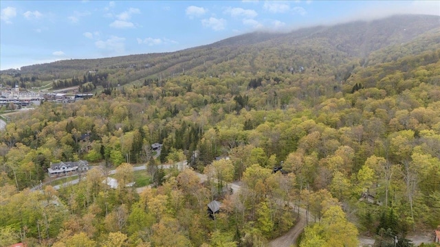 6 Roundtree Rd, Winhall, VT 05340 - aerial view of property and surrounding area with a heavily wooded area and a mountain backdrop