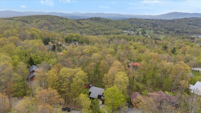 6 Roundtree Rd, Winhall, VT 05340 - aerial view of property's location featuring a heavily wooded area and mountains