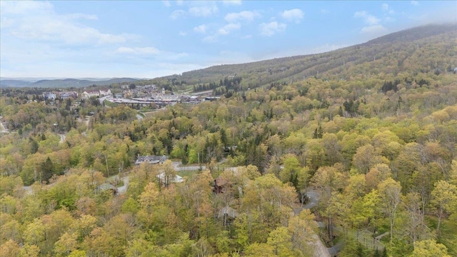6 Roundtree Rd, Winhall, VT 05340 - aerial overview of property's location featuring a forest and mountains