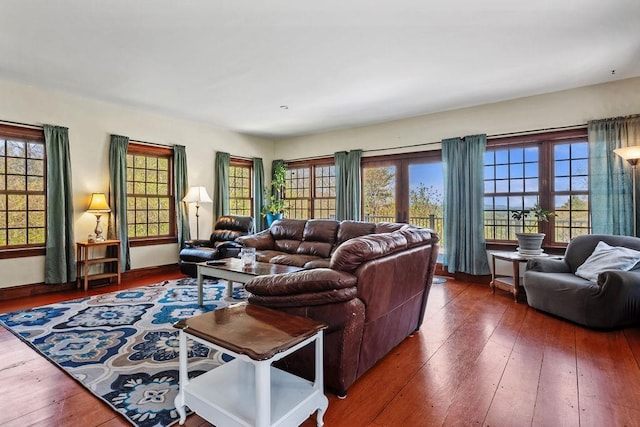 living room with hardwood / wood-style floors and healthy amount of natural light
