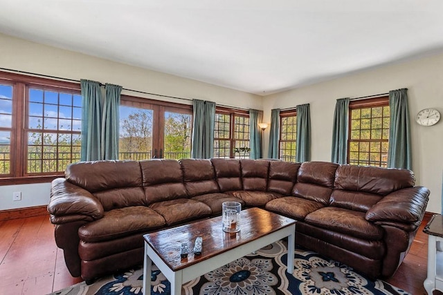 living room with hardwood / wood-style floors and baseboards