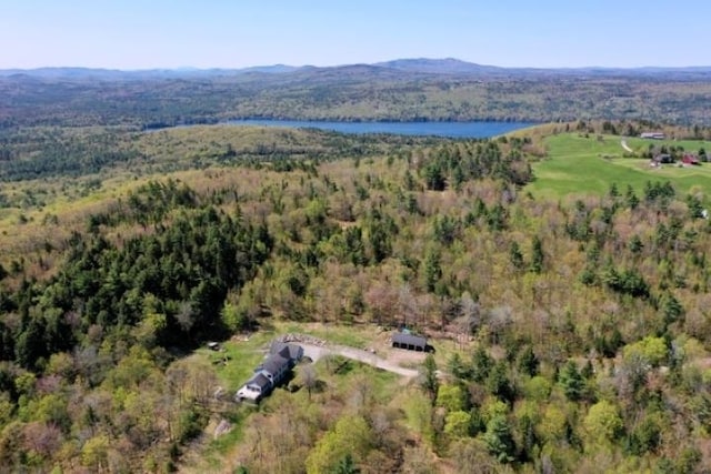 view of property location with a heavily wooded area and a water and mountain view