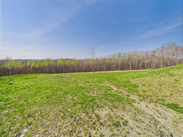 view of grassy yard