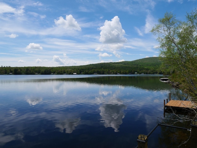 water view featuring a heavily wooded area and a boat dock