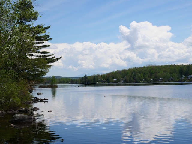water view featuring a heavily wooded area
