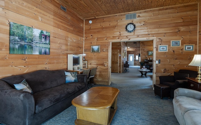 16 Pine Tree Rd, Newport, NH 03773 - living area featuring wooden walls, carpet floors, and wooden ceiling