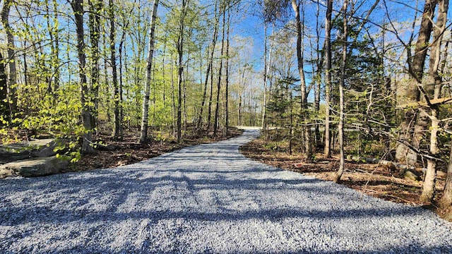 00 E Hill Rd, Andover, VT 05143