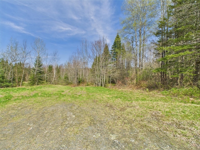 view of yard with a view of trees