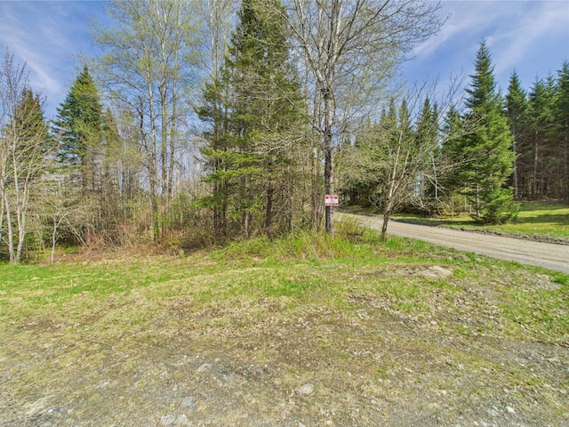 view of yard featuring a wooded view
