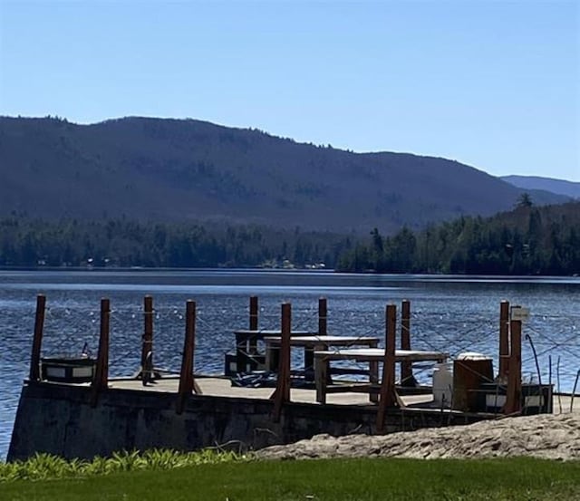 dock area featuring a water and mountain view and a forest view