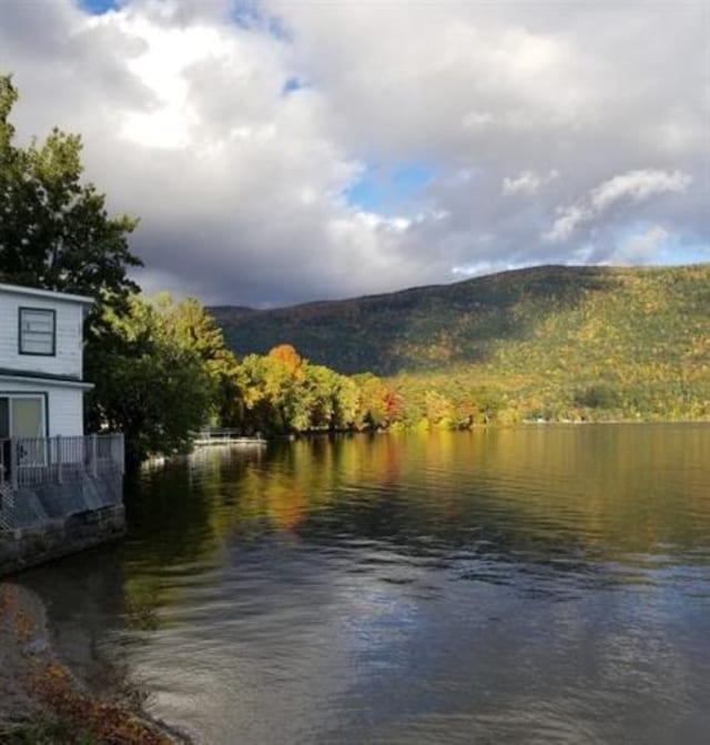 water view with a mountainous background and a forest