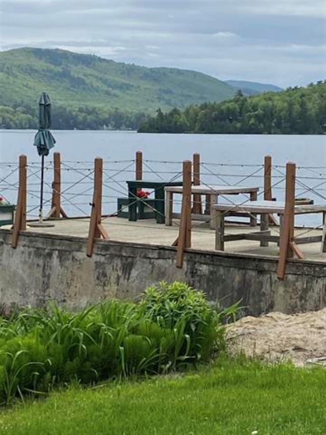 dock area with a water and mountain view