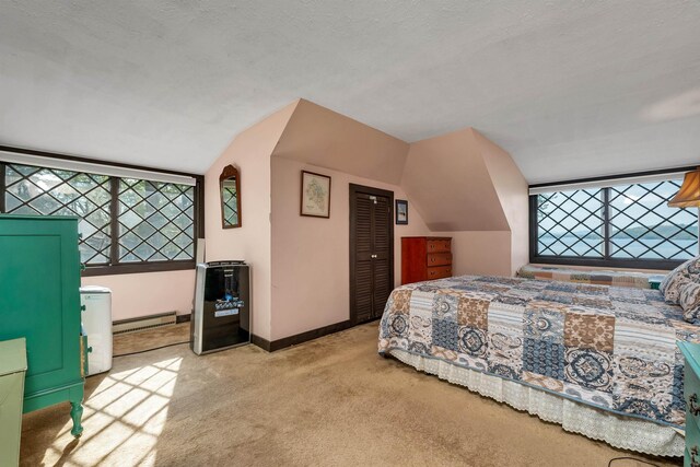 148 Lucerne Ave Unit 15, Laconia, NH 03246 - bedroom with carpet floors, vaulted ceiling, baseboard heating, a closet, and baseboards
