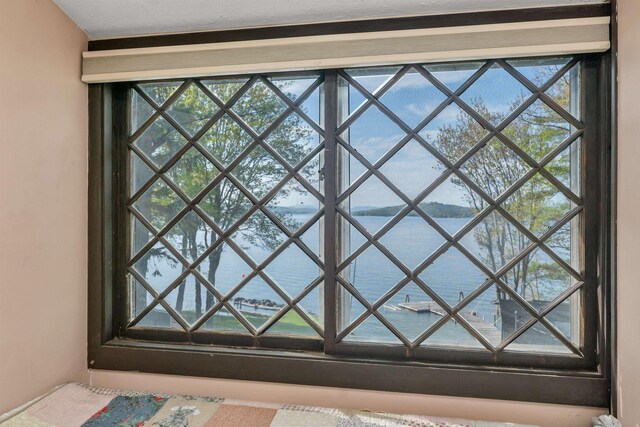 148 Lucerne Ave Unit 15, Laconia, NH 03246 - detailed view of a water view