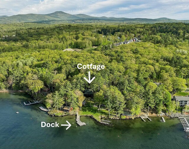148 Lucerne Ave Unit 15, Laconia, NH 03246 - view of property location with a forest and a water and mountain view