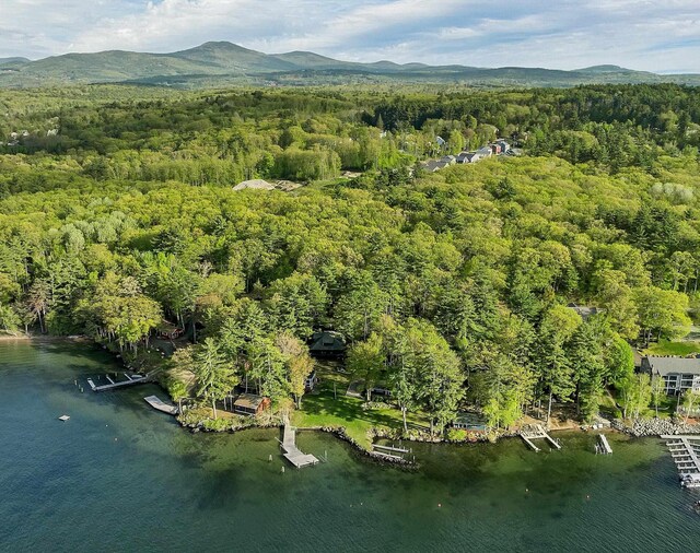 148 Lucerne Ave Unit 15, Laconia, NH 03246 - aerial overview of property's location with a forest and a water and mountain view