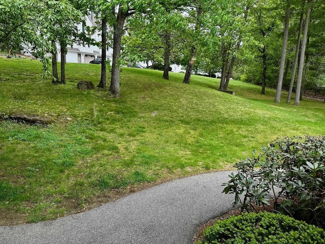 view of grassy yard