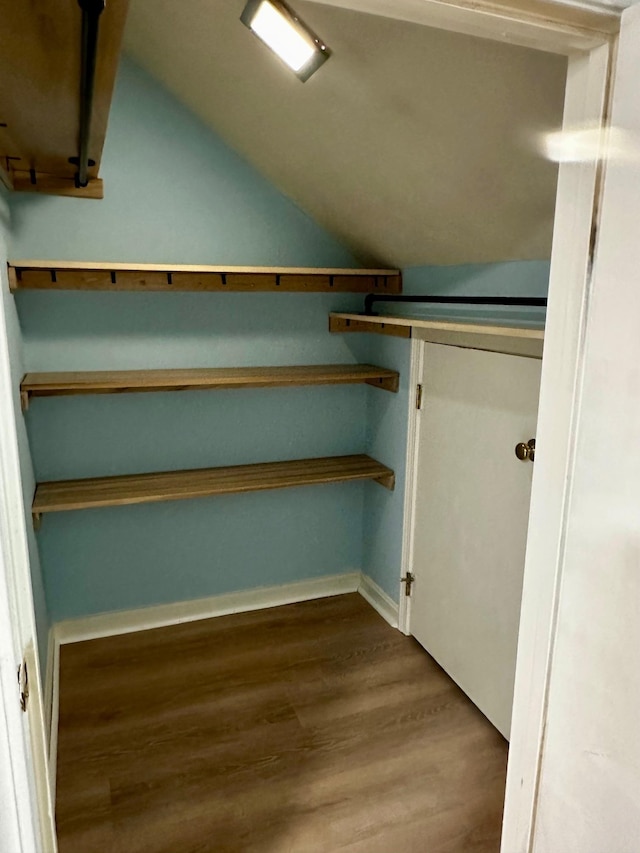walk in closet with vaulted ceiling and wood finished floors