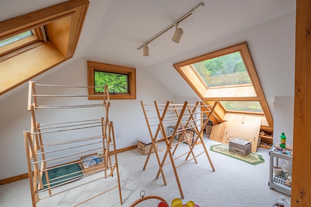 additional living space with carpet, a skylight, baseboards, and vaulted ceiling