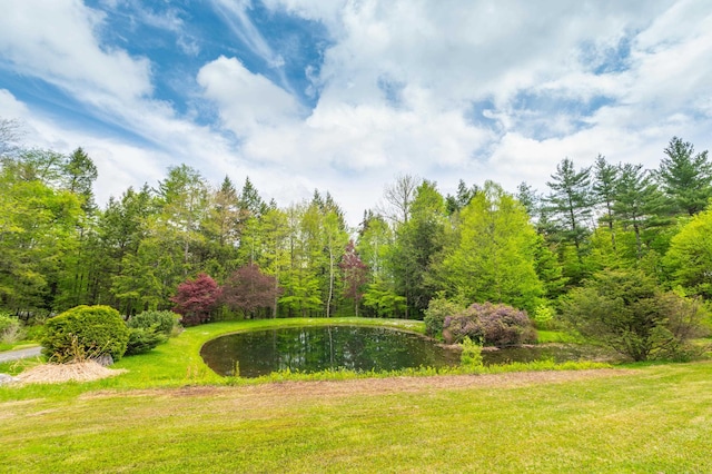 view of grassy yard featuring a water view