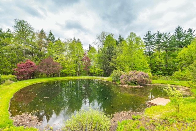 water view with a heavily wooded area