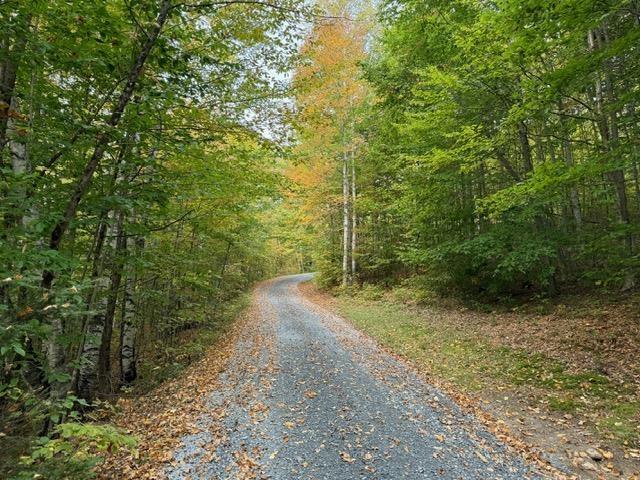 133 Ben Dexter Rd, Topsham, VT 05076 - view of street with a forest view