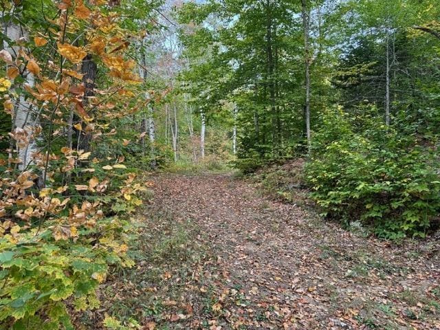 133 Ben Dexter Rd, Topsham, VT 05076 - view of woods