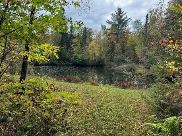 133 Ben Dexter Rd, Topsham, VT 05076 - view of yard with a water view and a wooded view