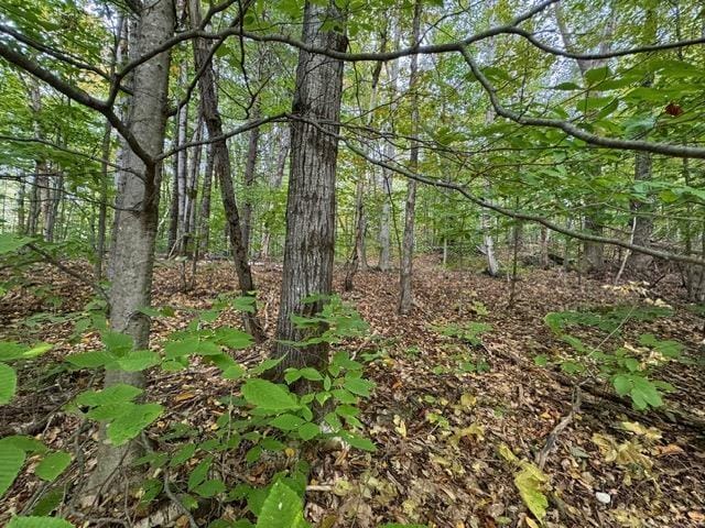 133 Ben Dexter Rd, Topsham, VT 05076 - view of tree filled area