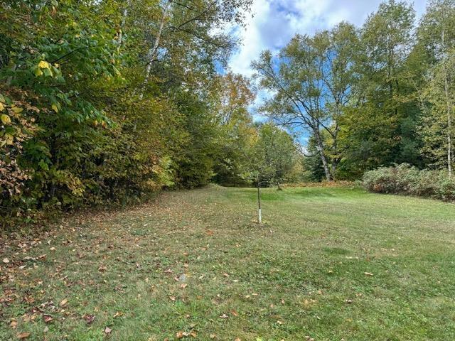 133 Ben Dexter Rd, Topsham, VT 05076 - view of grassy yard